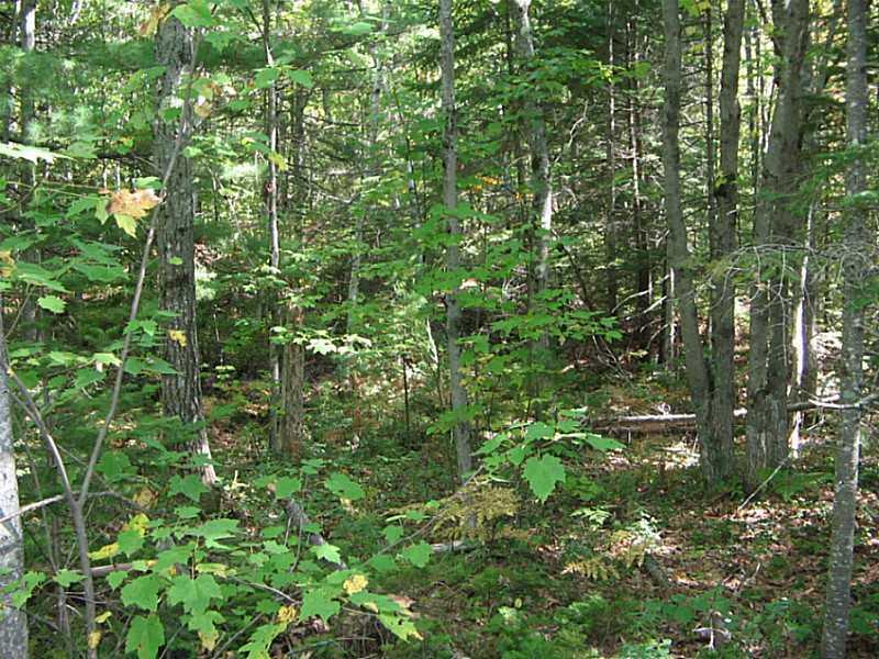 127-1 Oak Ridge Road Kennebunkport, ME 04046 - Photo 5 of 15 Other.