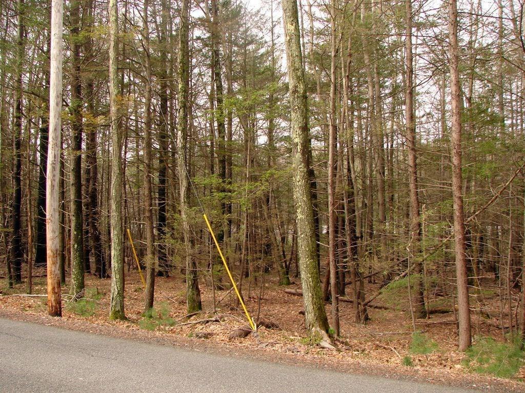 23 Greenleaf Parsons Road Cape Neddick, ME 03902 - Photo 2 of 6 Photo