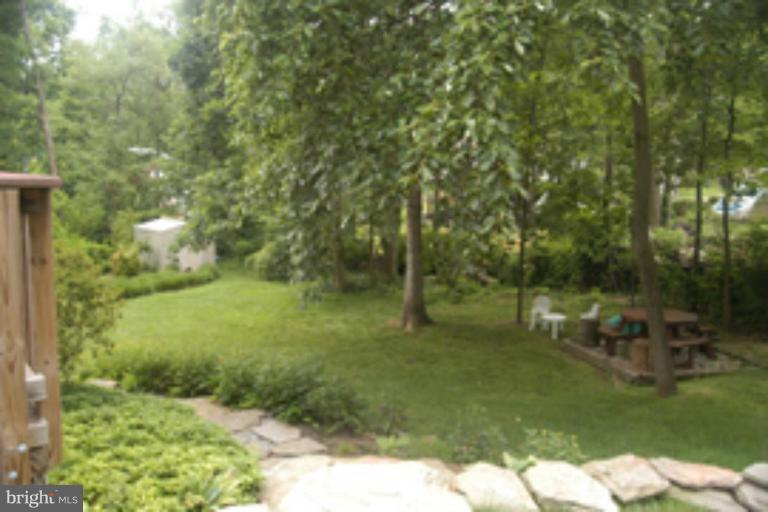 8209 Blairton Road Springfield, VA 22152 - Photo 26 of 29 Back yard
