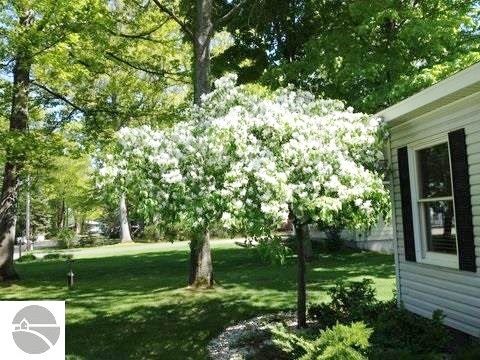 6571 Bixler Road Beulah, MI 49617 - Photo 45 of 46 1841524-46.JPG