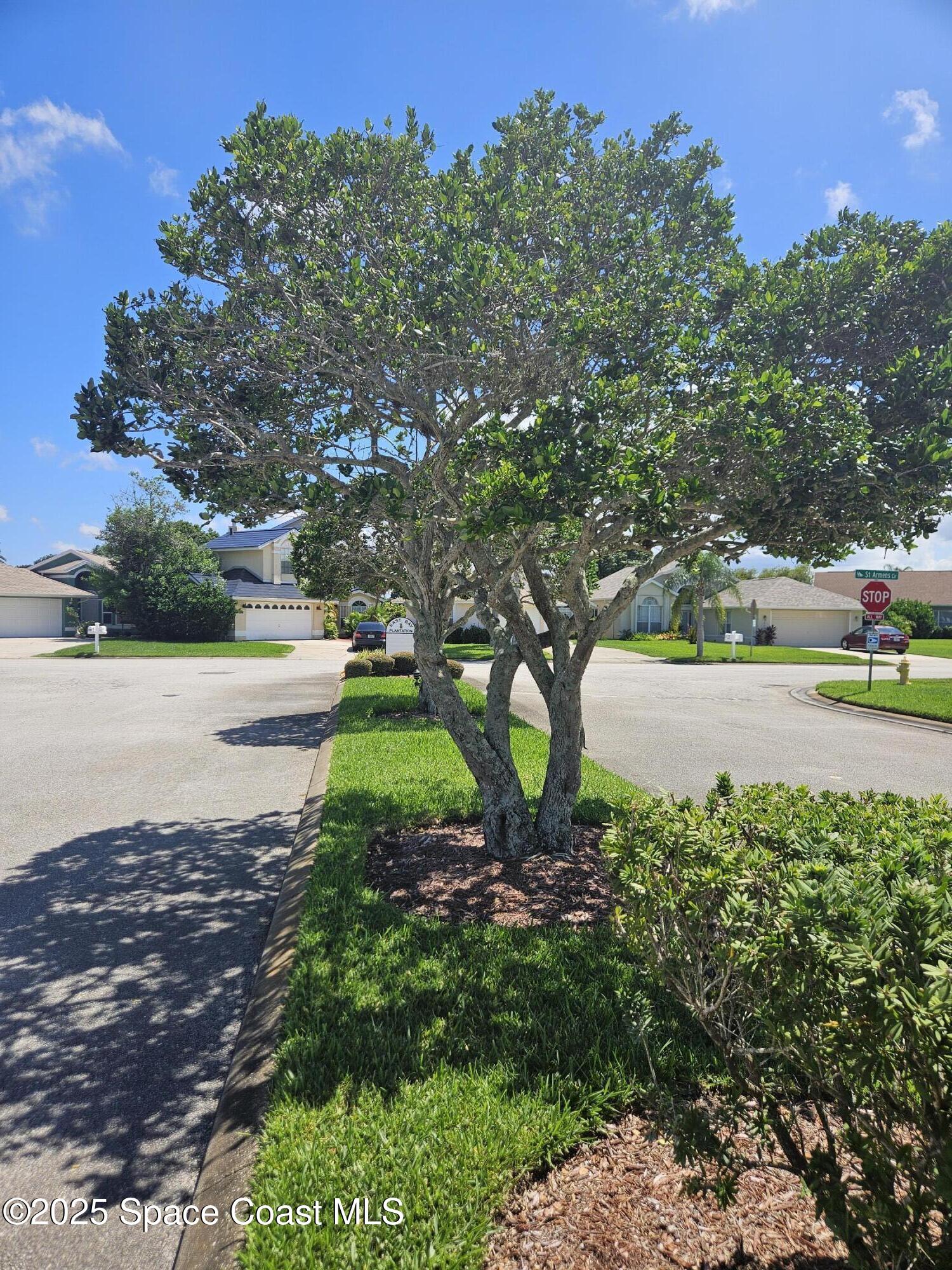 3904 St Armens Circle Melbourne, FL 32934 - Photo 36 of 38 a view of street with houses and trees in the background