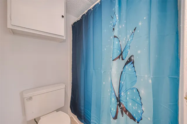 a white toilet sitting next to a shower curtain