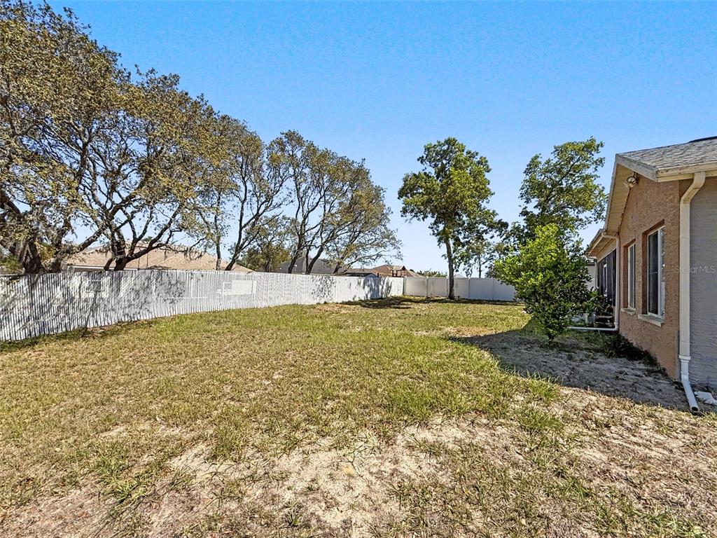 Undisclosed Address Spring Hill, FL 34608 - Photo 46 of 54 a view of yard with swimming pool and trees