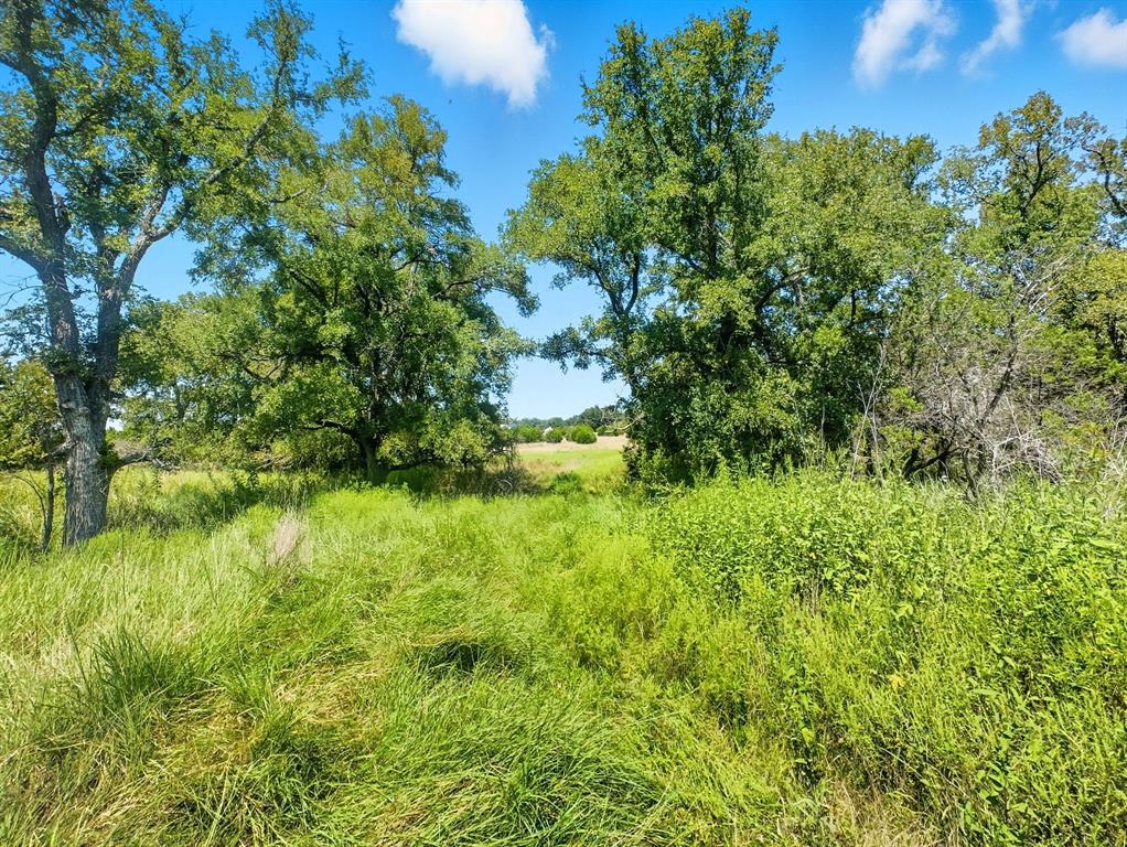 2902 Hamilton Tx 76531 Hamilton, TX 76531 - Photo 11 of 14 a view of a garden