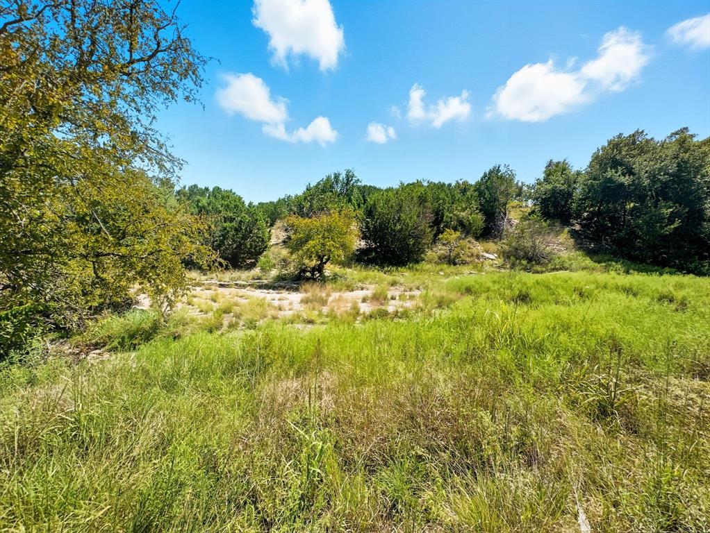 2902 Hamilton Tx 76531 Hamilton, TX 76531 - Photo 12 of 14 a yard with lots of bushes
