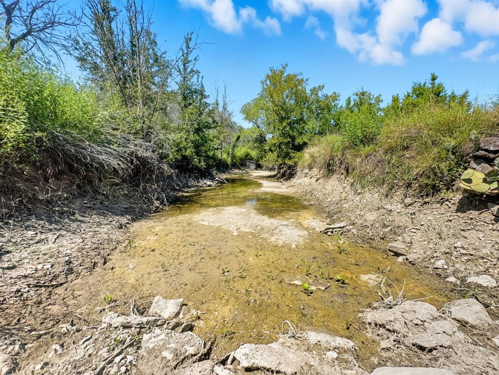 2902 Hamilton Tx 76531 Hamilton, TX 76531 - Photo 2 of 14 a view of a yard with plants and trees in the background