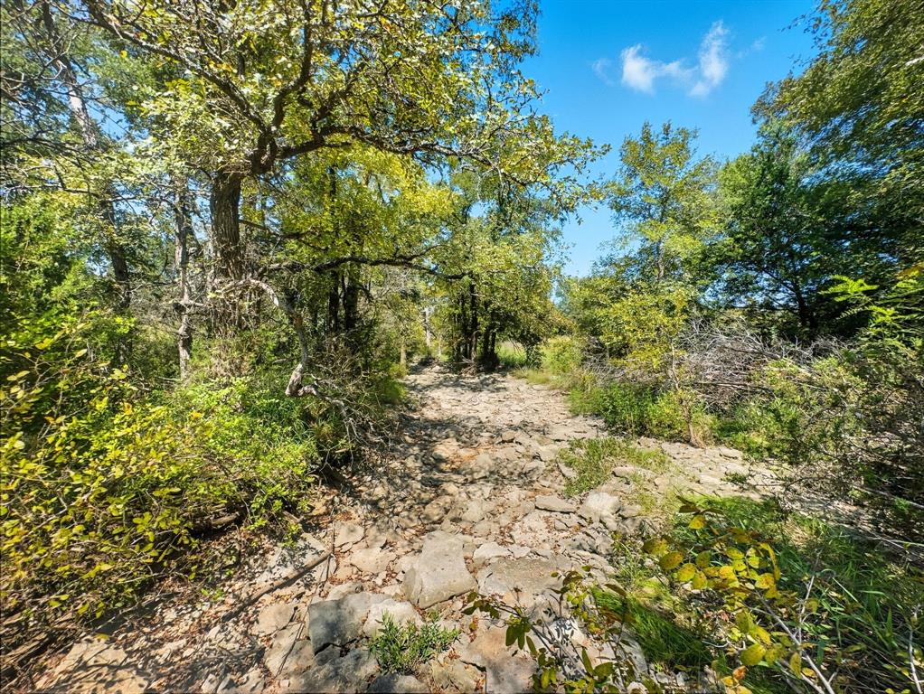 2902 Hamilton Tx 76531 Hamilton, TX 76531 - Photo 4 of 14 a view of a yard with a tree