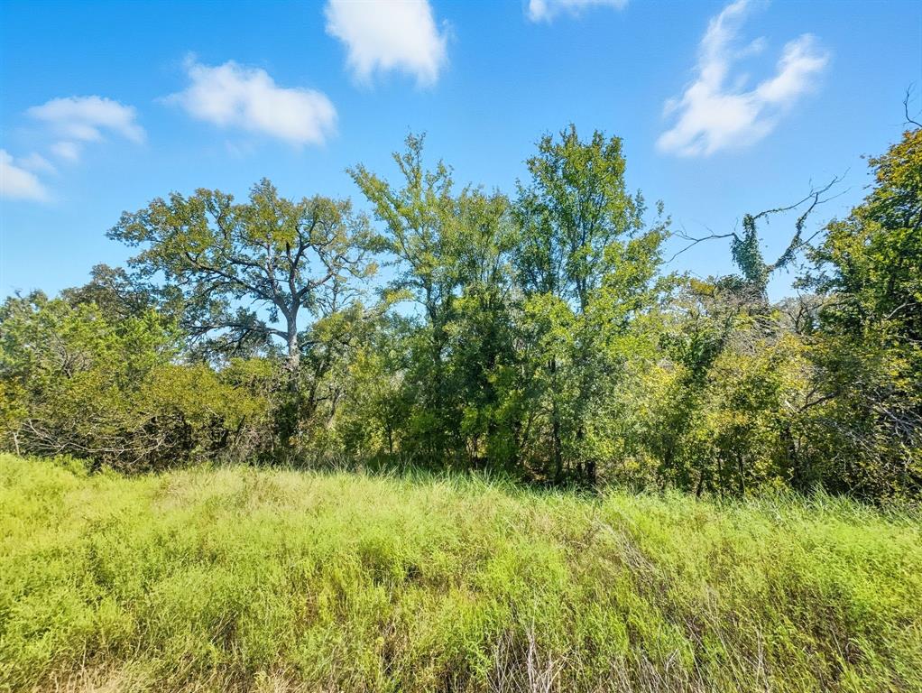 2902 Hamilton Tx 76531 Hamilton, TX 76531 - Photo 10 of 14 a view of a garden