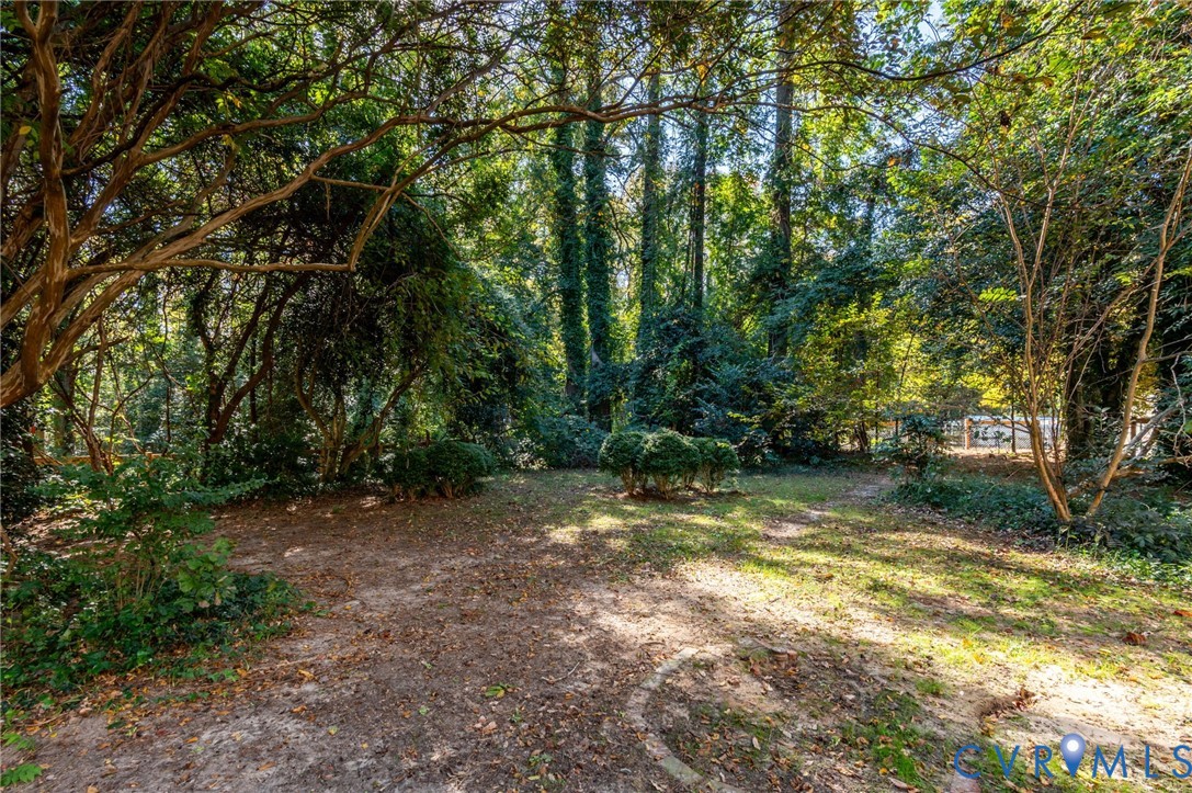 323 Church Street Wakefield, VA 23888 - Photo 41 of 50 a view of a yard with a tree