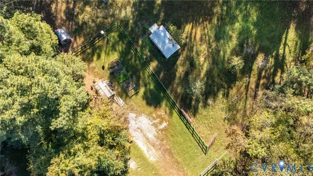 a view of a tree in a yard