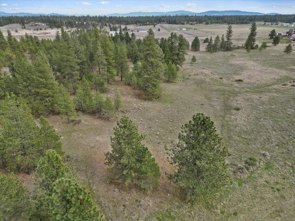 Nka North Flint Road Spokane, WA 99224 - Photo 6 of 18