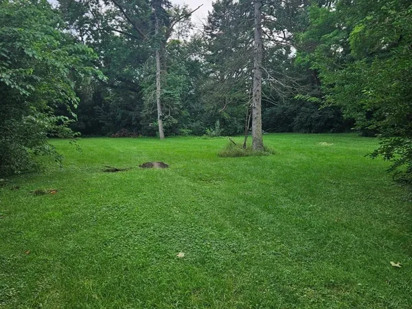 a view of a backyard with a trees