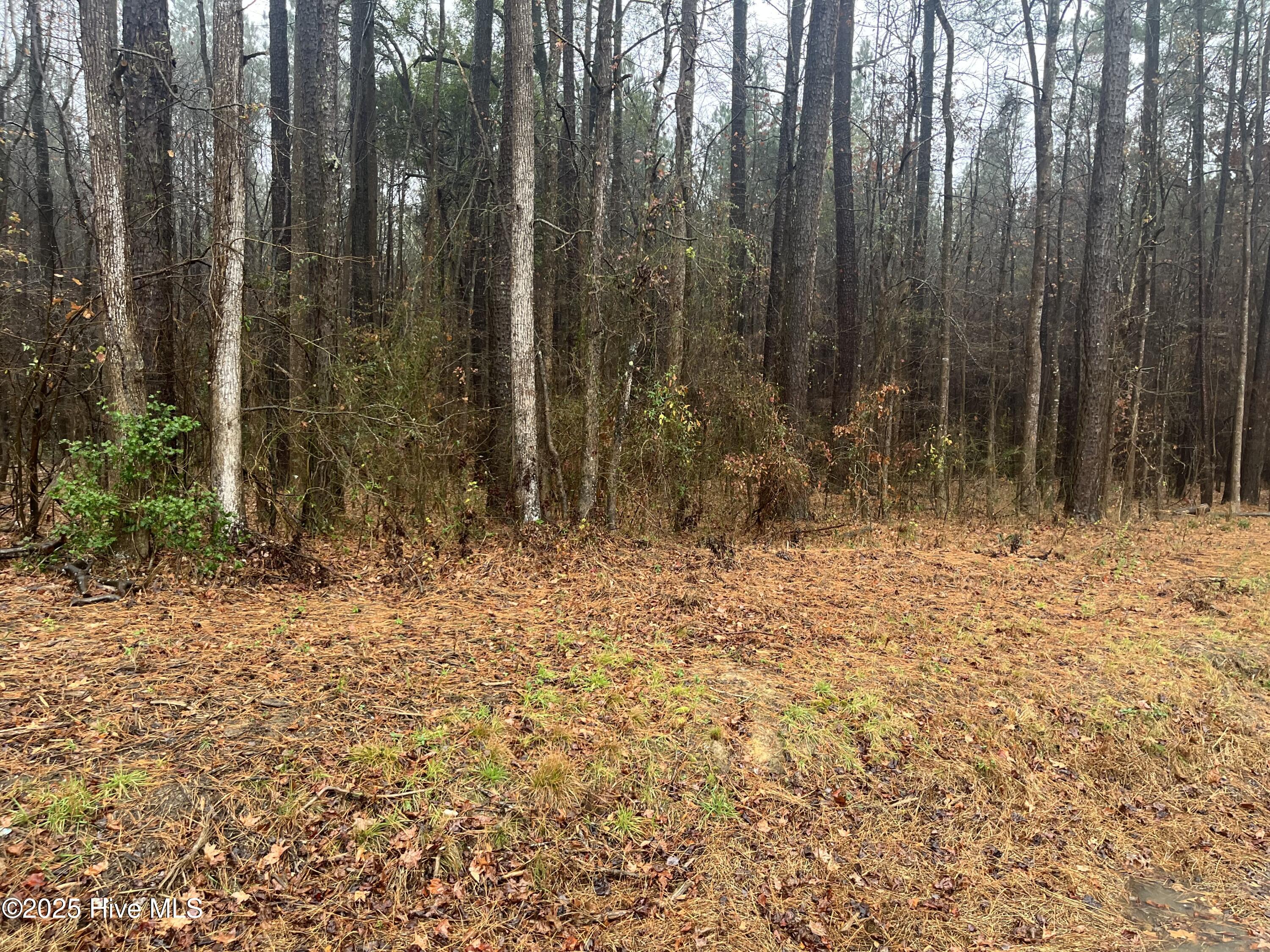 0 Reams Road Spring Hope, NC 27882 - Photo 1 of 1 MBLT lot main