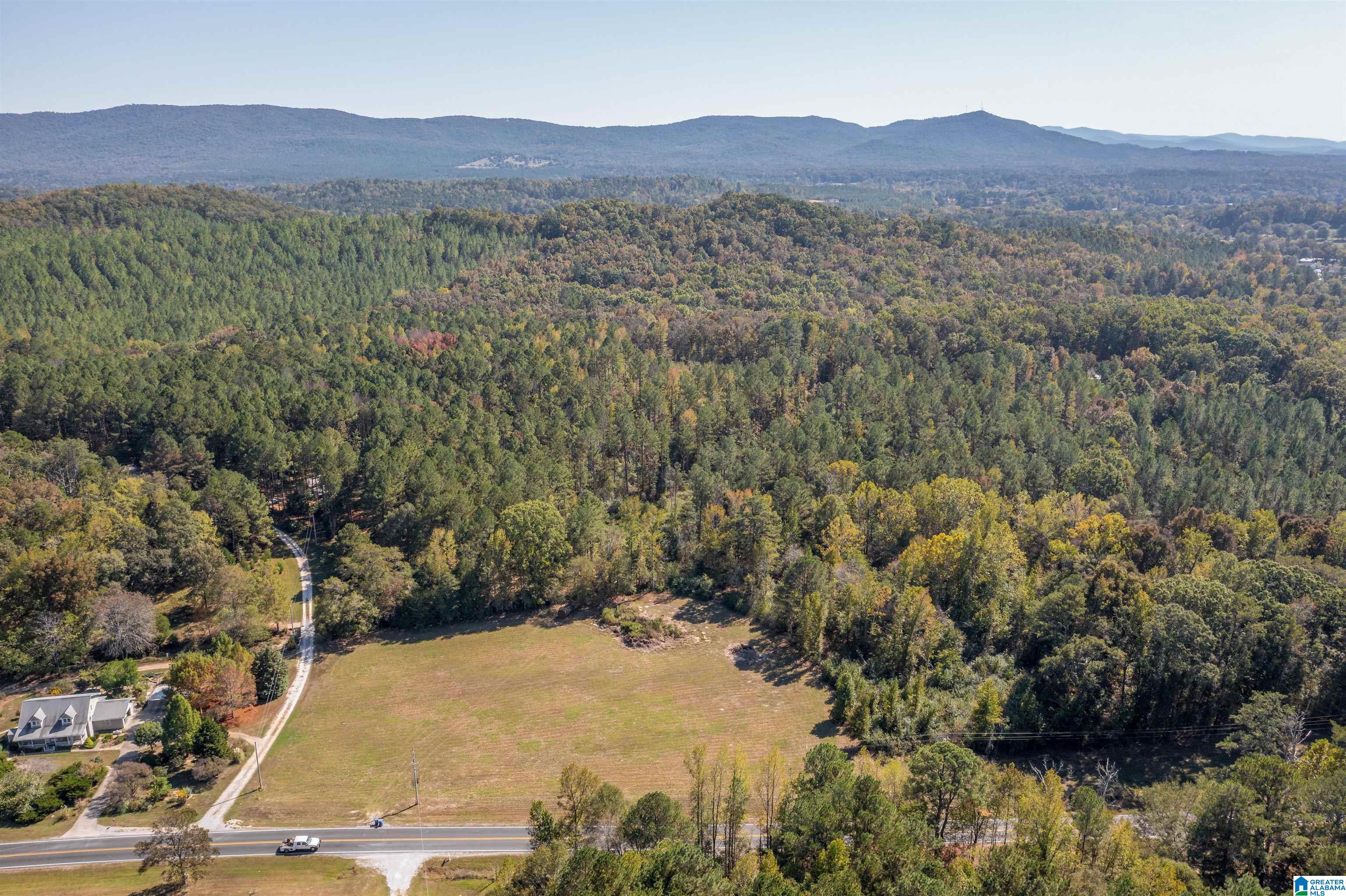 0 Roy Webb Road Jacksonville, AL 36265 - Photo 5 of 15