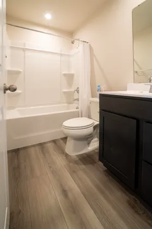 a bathroom with a sink a toilet and a bathtub