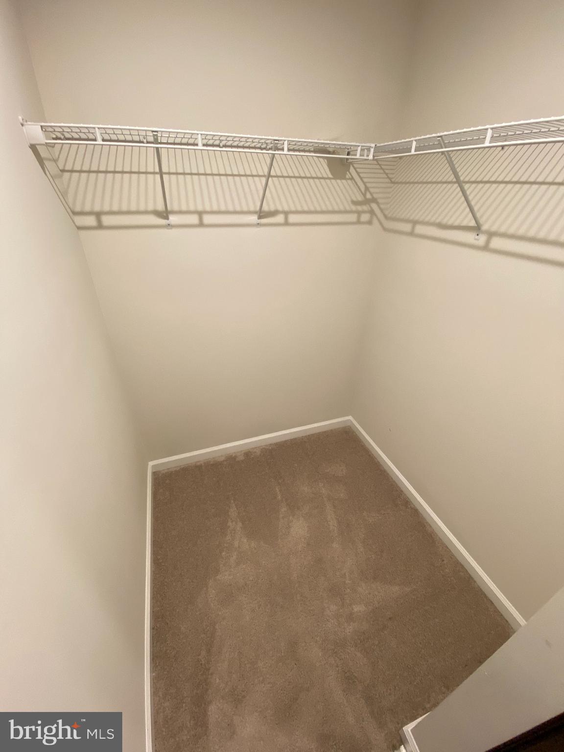 29 Azalea Circle Elkton, MD 21921 - Photo 21 of 29 Primary Walk-in closet