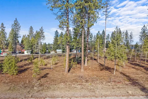 $105,000 | Lot 10 Southshore Diamond Lake Road, Newport, WA 99156