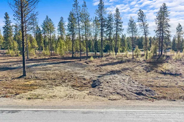 $105,000 | Lot 10 Southshore Diamond Lake Road, Newport, WA 99156