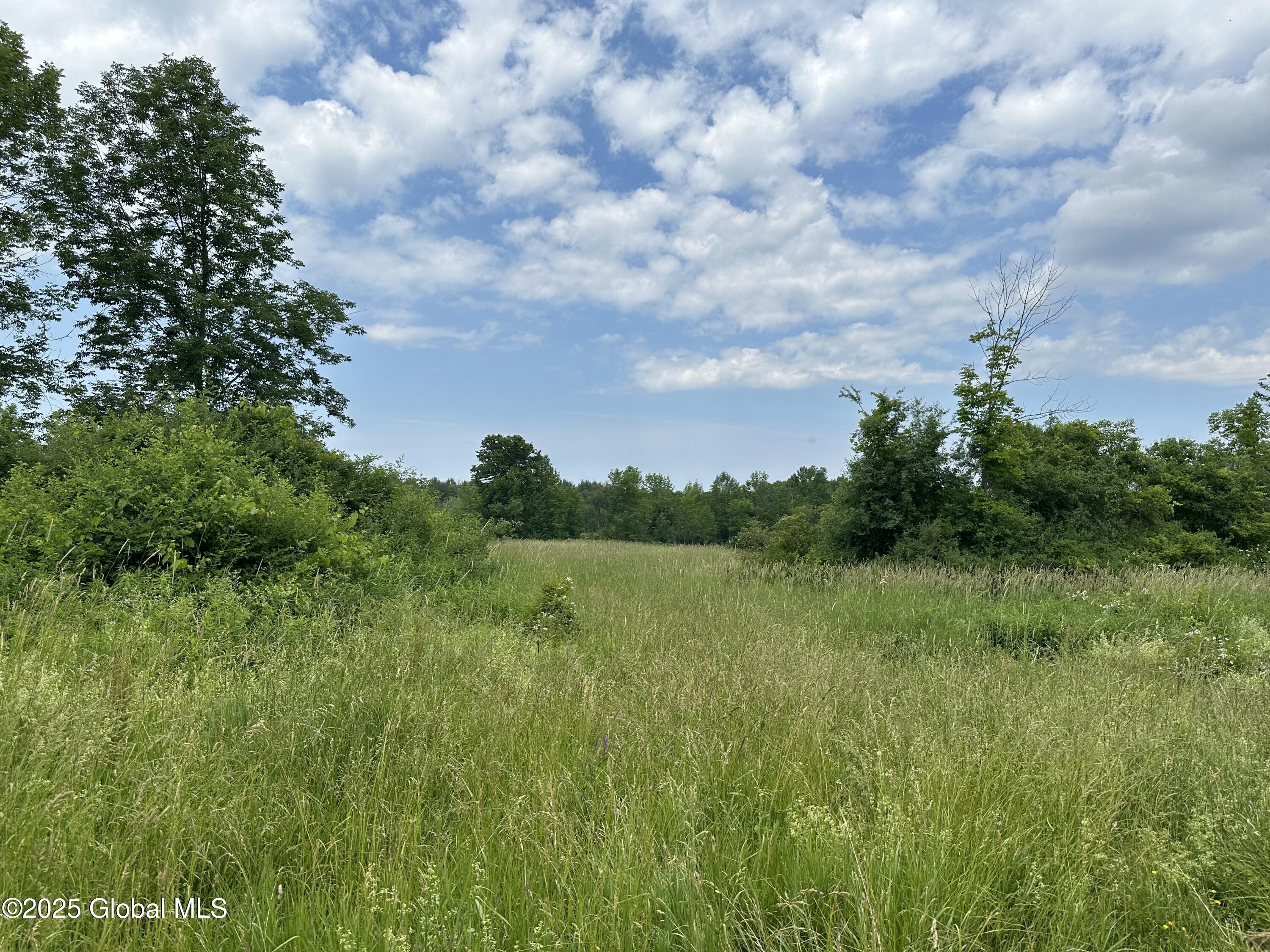 L12 Vanderwerken Road Sloansville, NY 12160 - Photo 3 of 4 IMG_0508