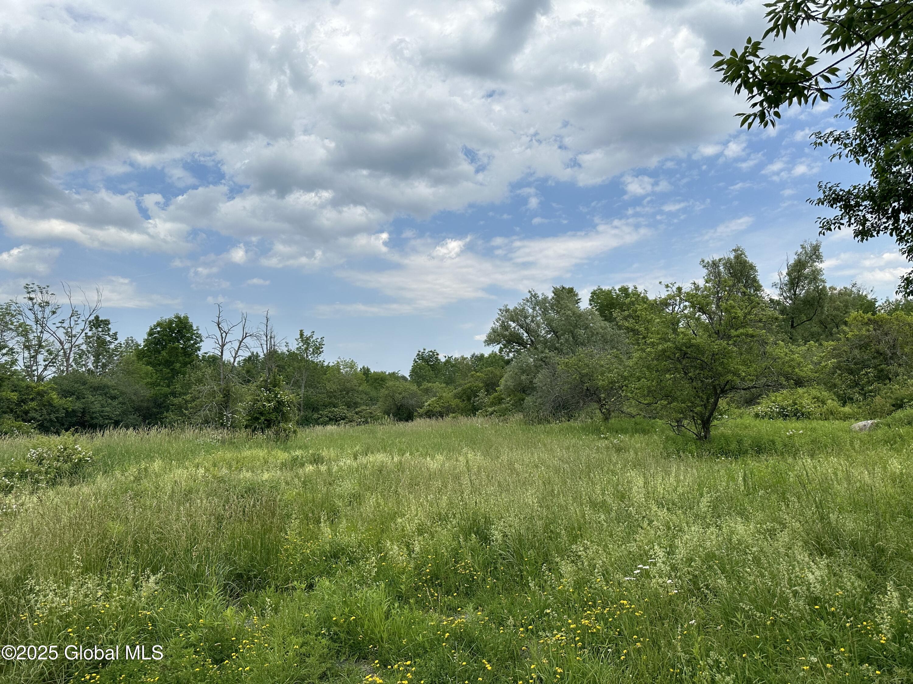 L12 Vanderwerken Road Sloansville, NY 12160 - Photo 4 of 4 IMG_0510