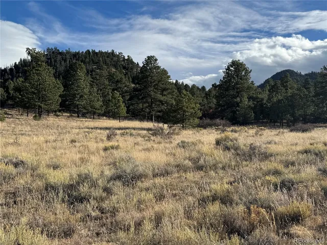 a view of a sky from a yard