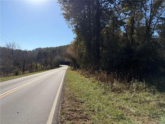 a view of a yard with plants and trees
