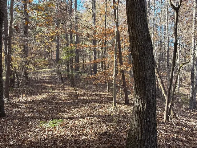 a view of a pathway of a yard