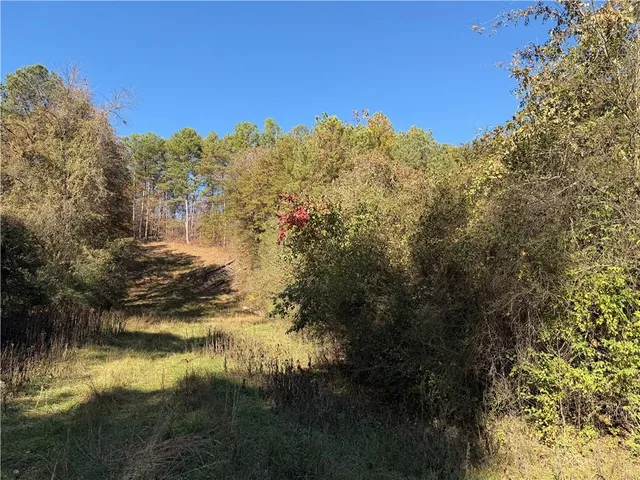 a view of river covered by trees