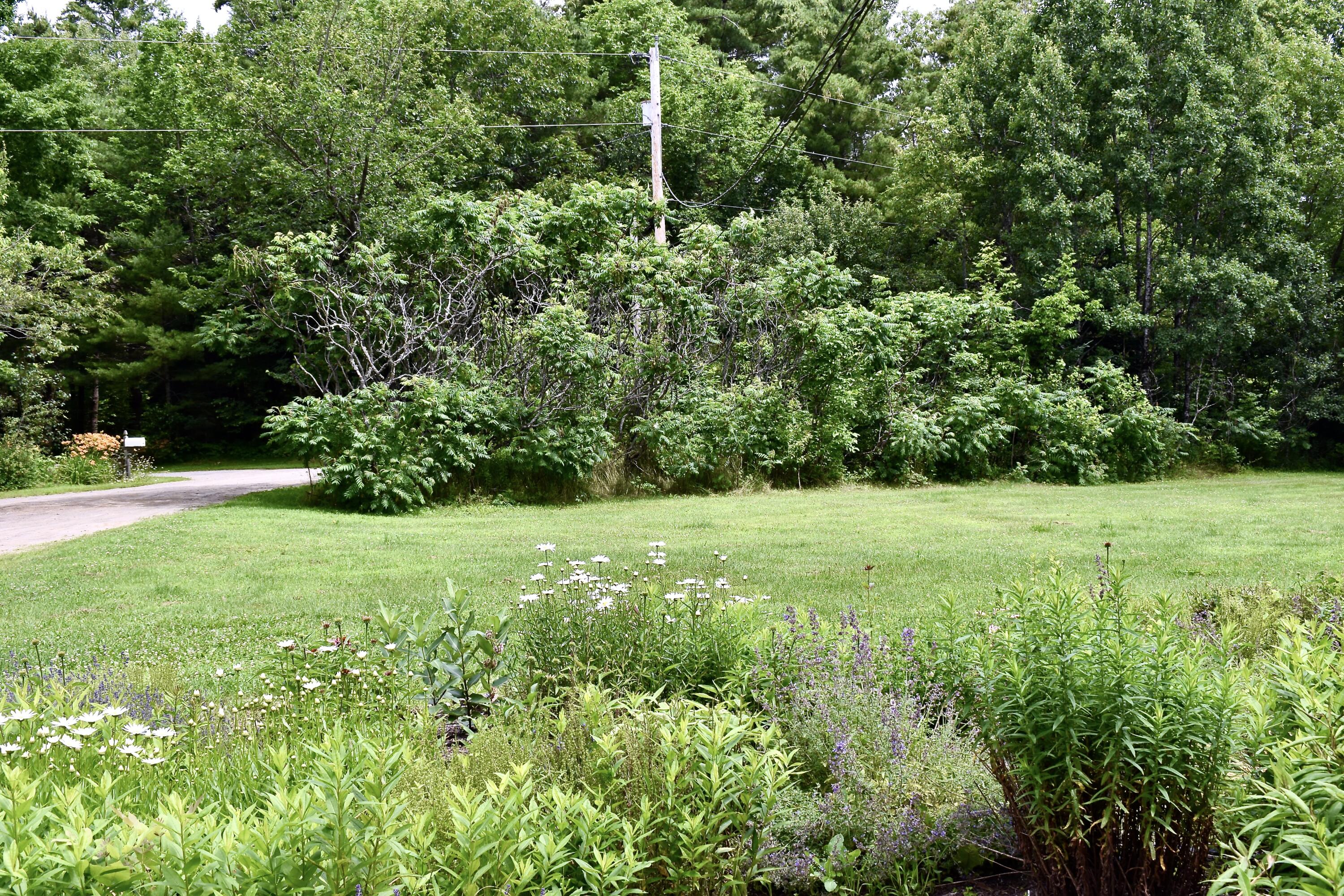 10 Rines Road Burnham, ME 04922 - Photo 51 of 55 DSC_0688