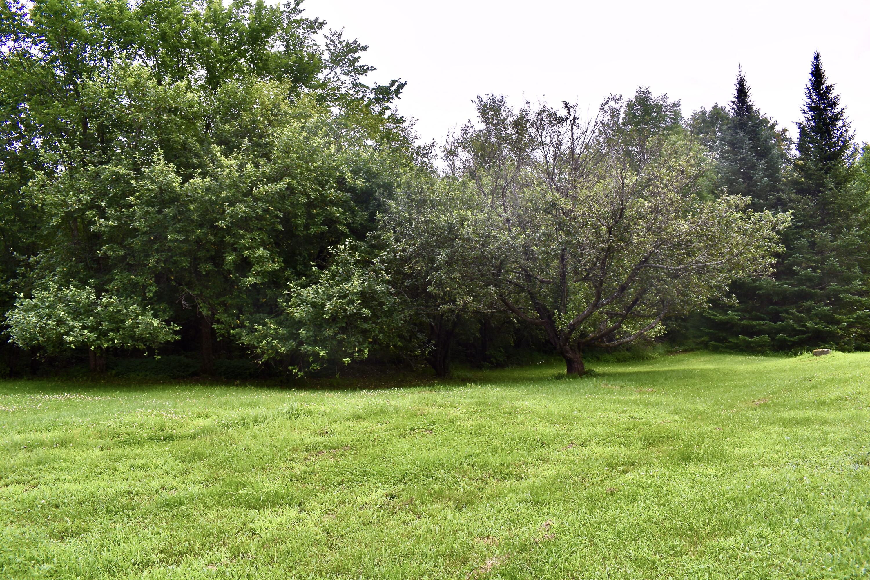 10 Rines Road Burnham, ME 04922 - Photo 53 of 55 DSC_0666