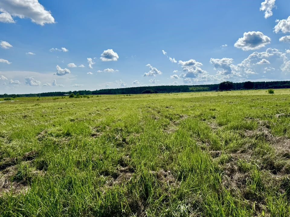 Tbd Tbd Lakeland Ranch Hillister, TX 77624 - Photo 11 of 20 a view of an ocean from a yard