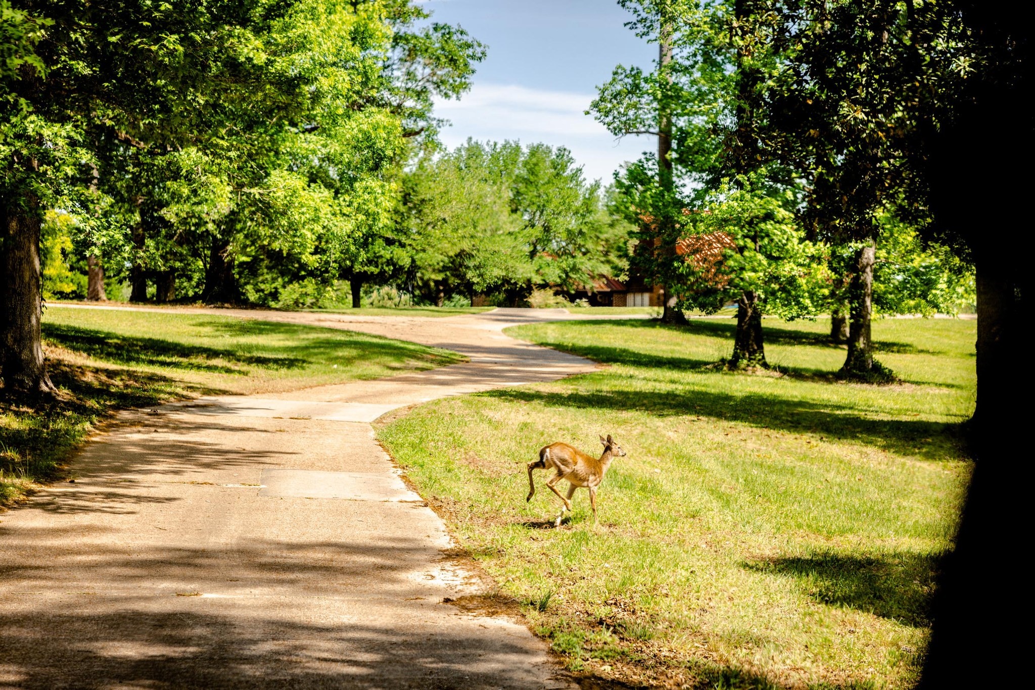Tbd Tbd Lakeland Ranch Hillister, TX 77624 - Photo 15 of 20 a view of an ocean beach and an outdoor space