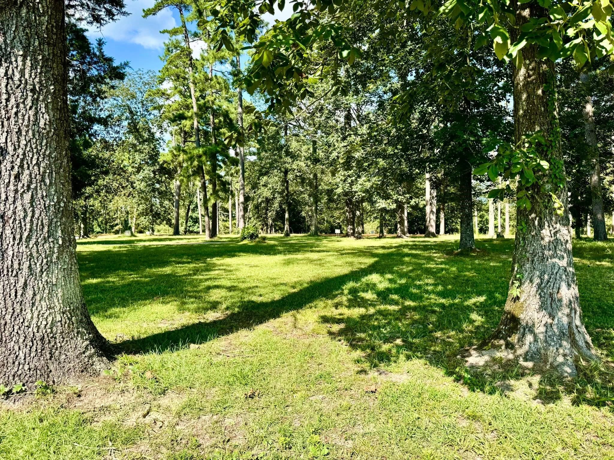 Tbd Tbd Lakeland Ranch Hillister, TX 77624 - Photo 3 of 20 a view of a park with large trees