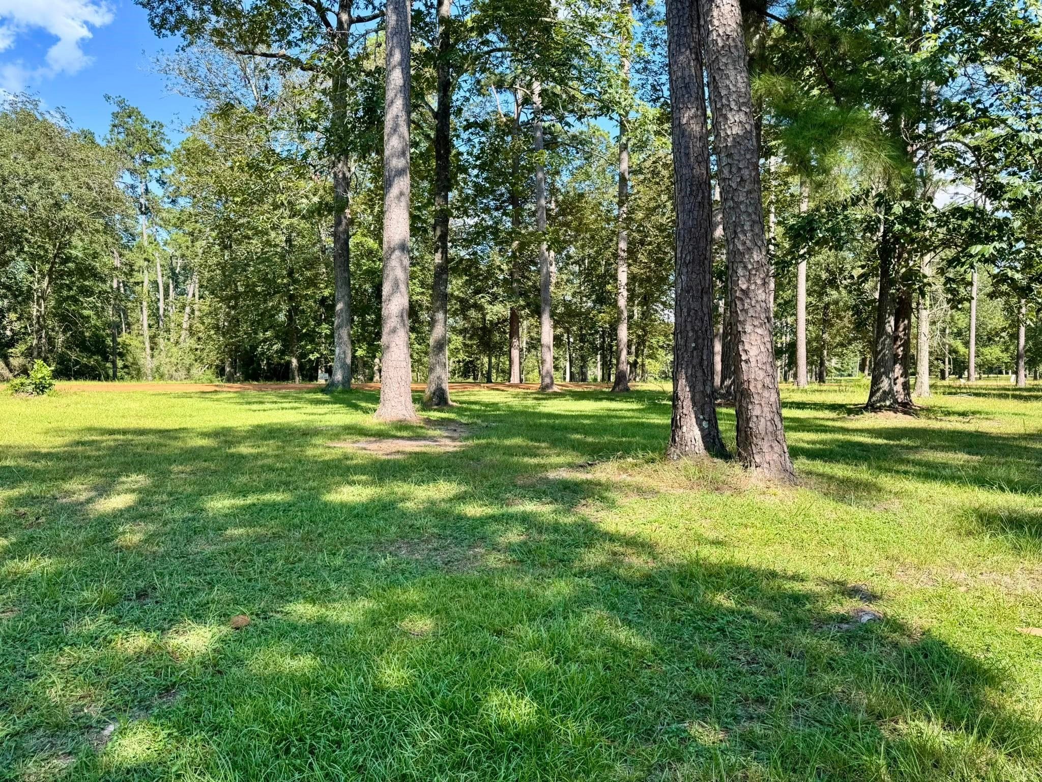 Tbd Tbd Lakeland Ranch Hillister, TX 77624 - Photo 5 of 20 a big yard with lots of green space and trees