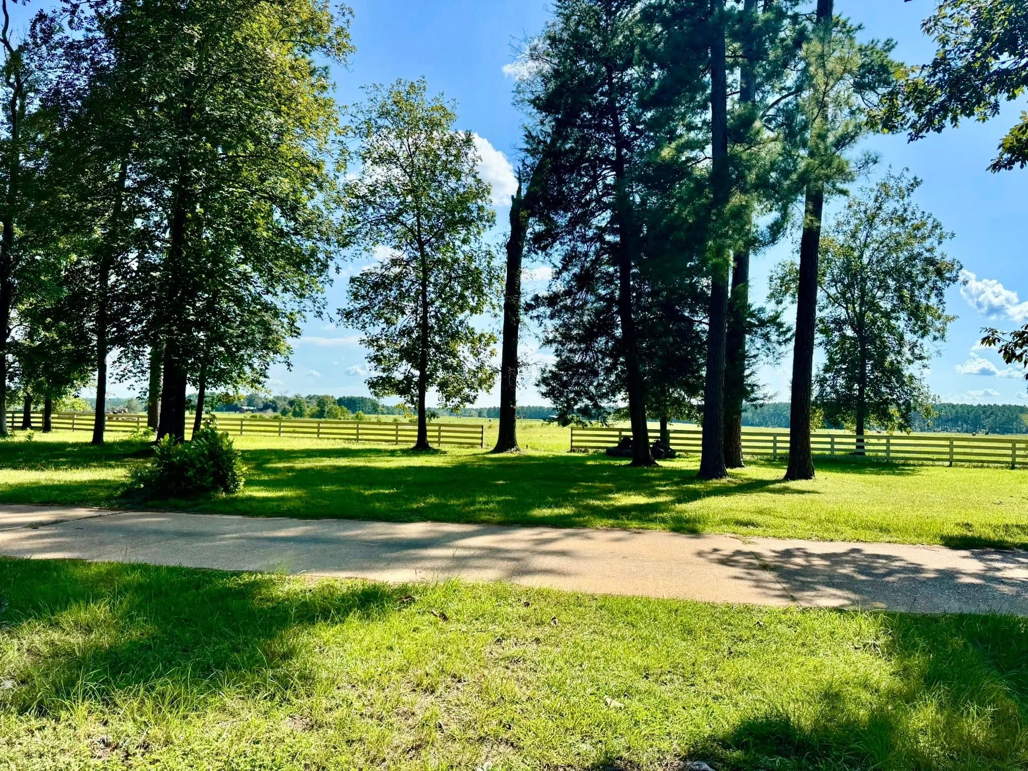 Tbd Tbd Lakeland Ranch Hillister, TX 77624 - Photo 6 of 20 a view of a park with large trees