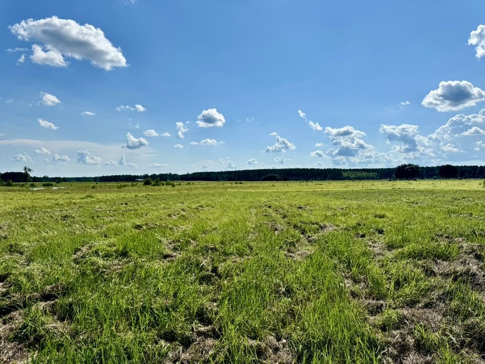 Tbd Tbd Lakeland Ranch Hillister, TX 77624 - Photo 9 of 20 a view of a big yard with swimming pool and outdoor seating