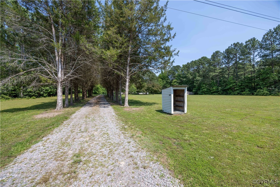 16701 Jolly Road Disputanta, VA 23842 - Photo 8 of 49 View of cedar tree lined lane
View of cedar