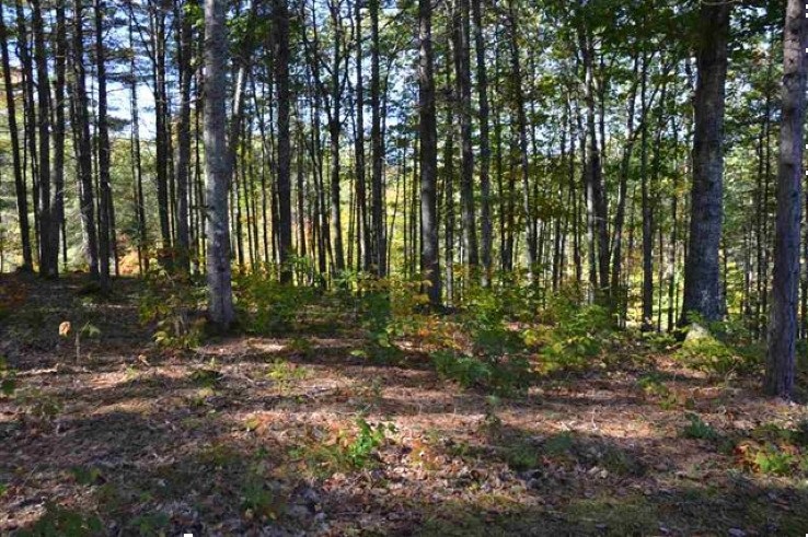 Canaan Road Center Tuftonboro, NH 03816 - Photo 2 of 3 Gallery Image 2