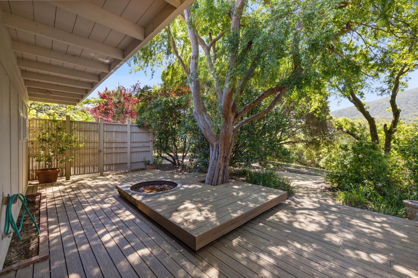 19 Ring Lane Carmel Valley, CA 93924 - Photo 38 of 60 a view of a backyard with a large tree