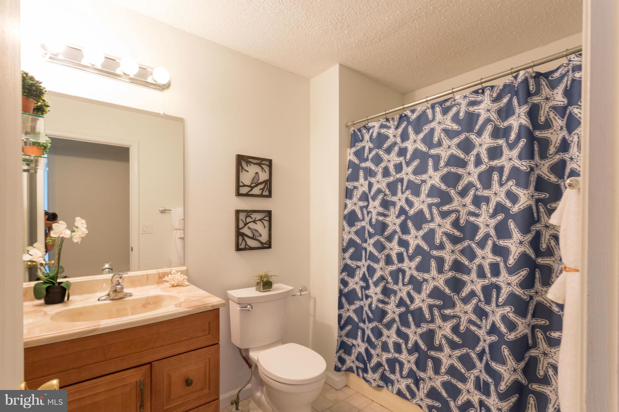8221 Sycamore Road Lusby, MD 20657 - Photo 17 of 22 Bath Hall