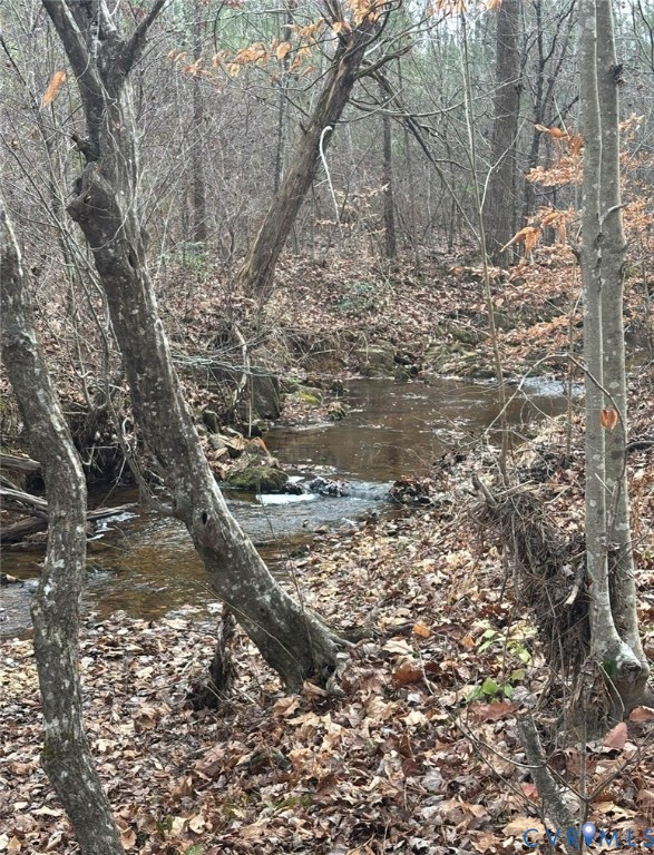 Wooded acreage featuring a natural stream, mature