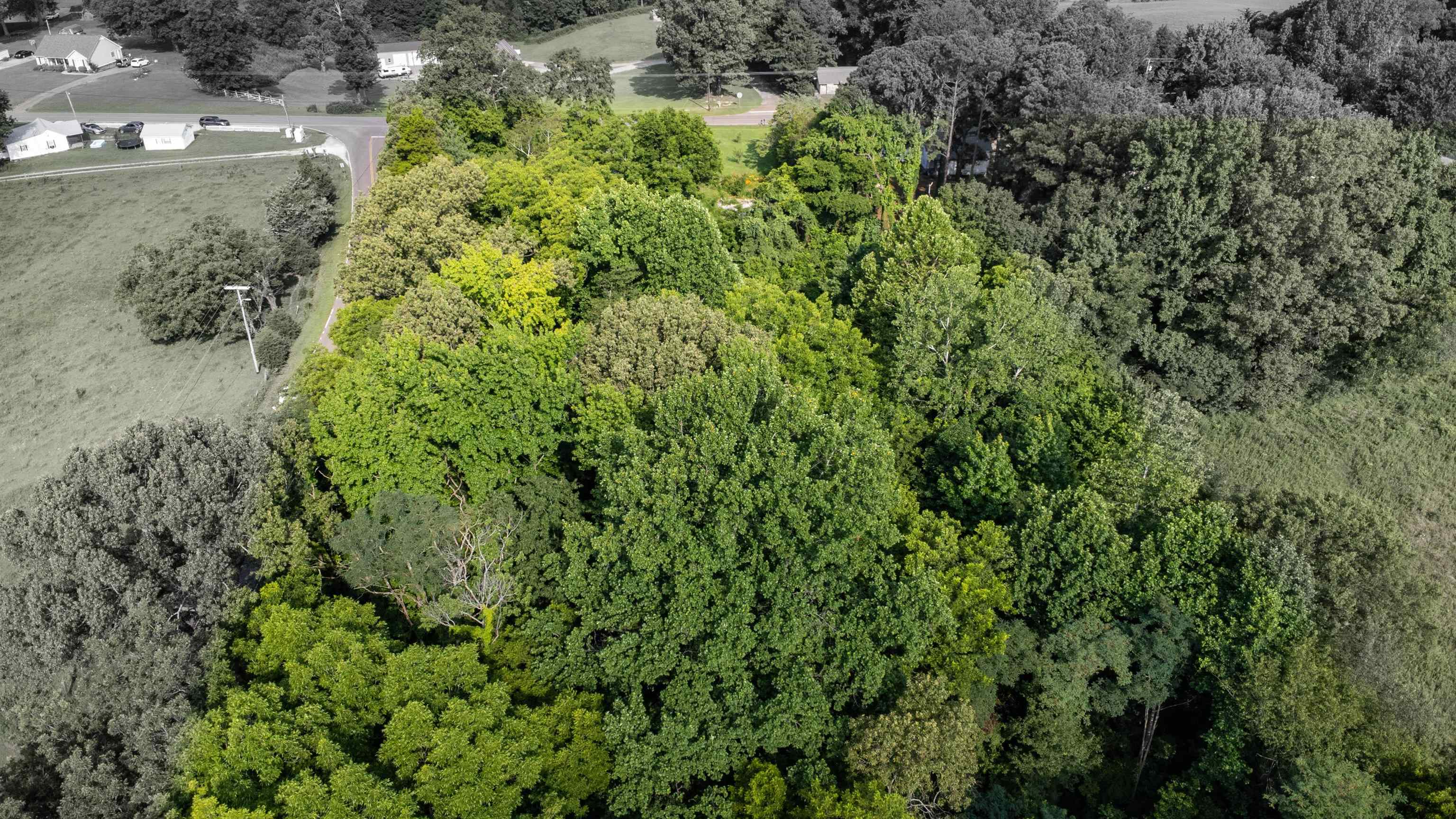 2440 Edith-Nankipoo Road Ripley, TN 38063 - Photo 23 of 27 Aerial view 4.08 Acre corner lot