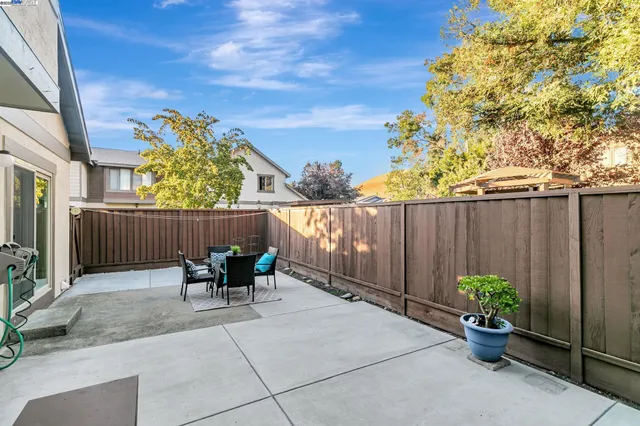 a view of a park with plants and large trees