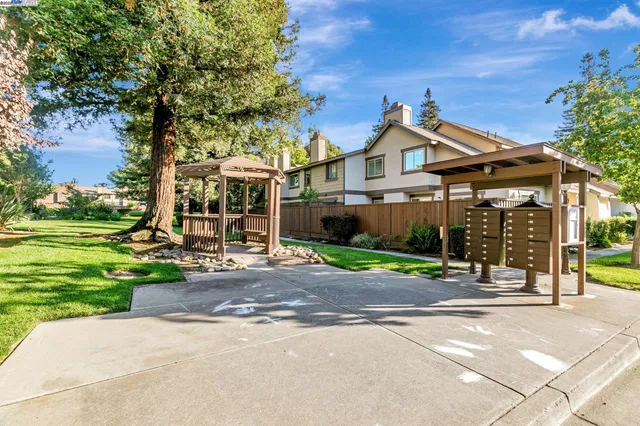 a view of a yard with plants and large trees