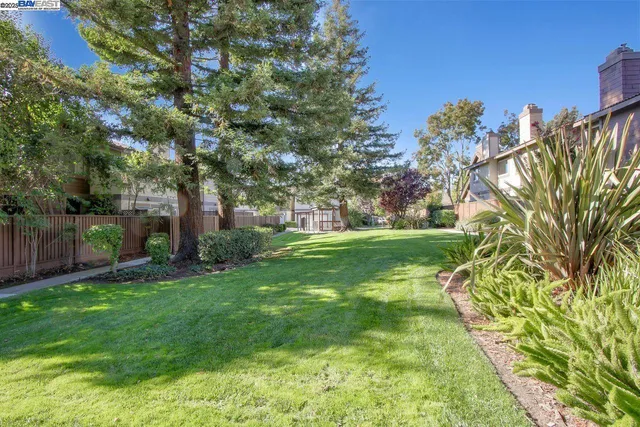 a view of a field of grass and trees