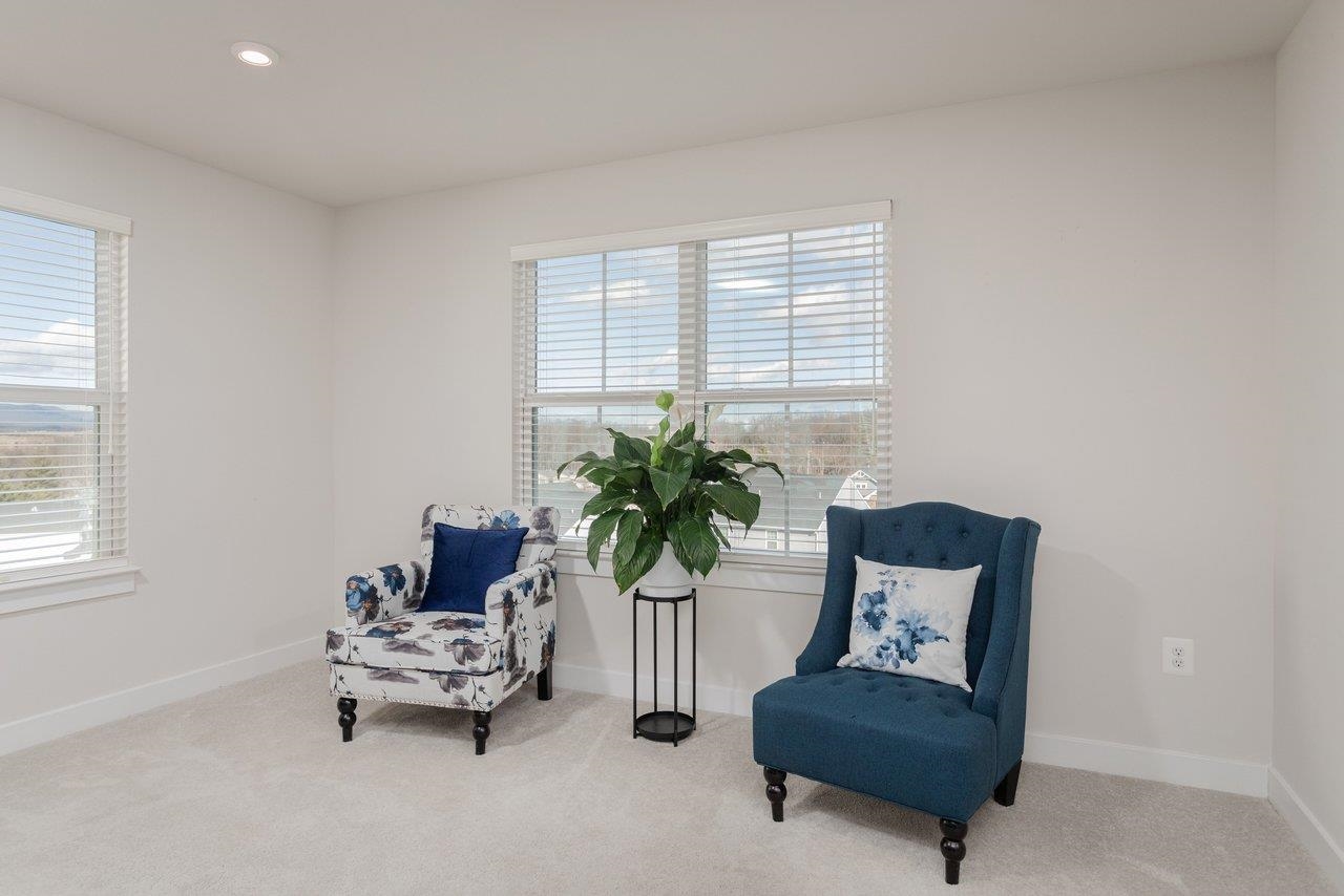 2754 Rdg Hvn Drive Harrisonburg, VA 22801 - Photo 33 of 64 a living room with furniture and a potted plant