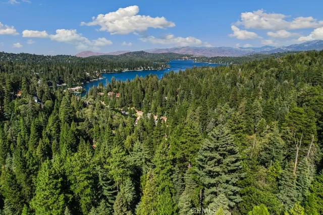 a view of a city with lush green forest