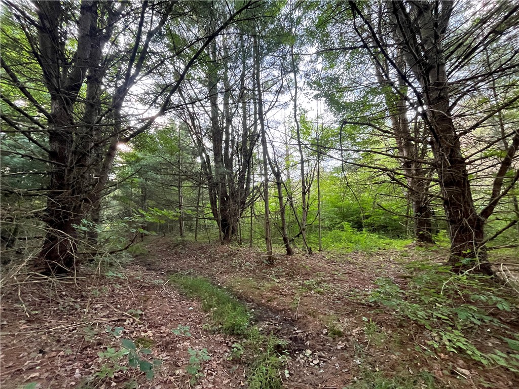 Greenbush Road Erin, NY 14838 - Photo 28 of 38 Gallery Image 28