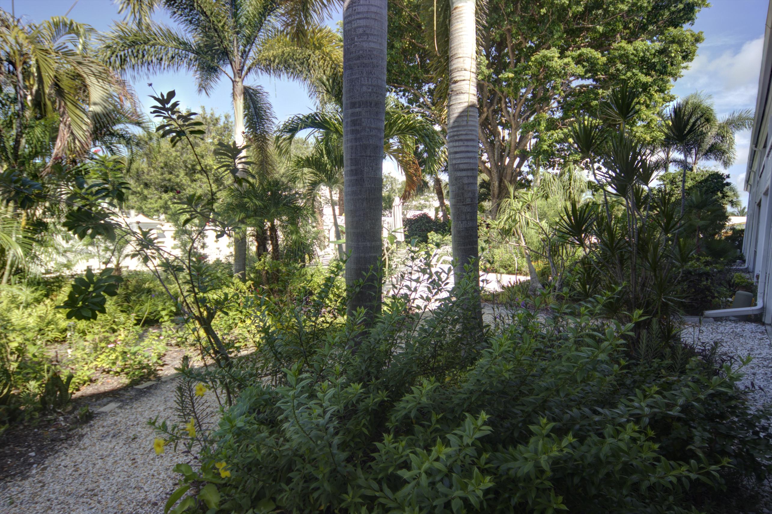 91 Willow Road, Unit 101 Tequesta, FL 33469 - Photo 7 of 9 garden view