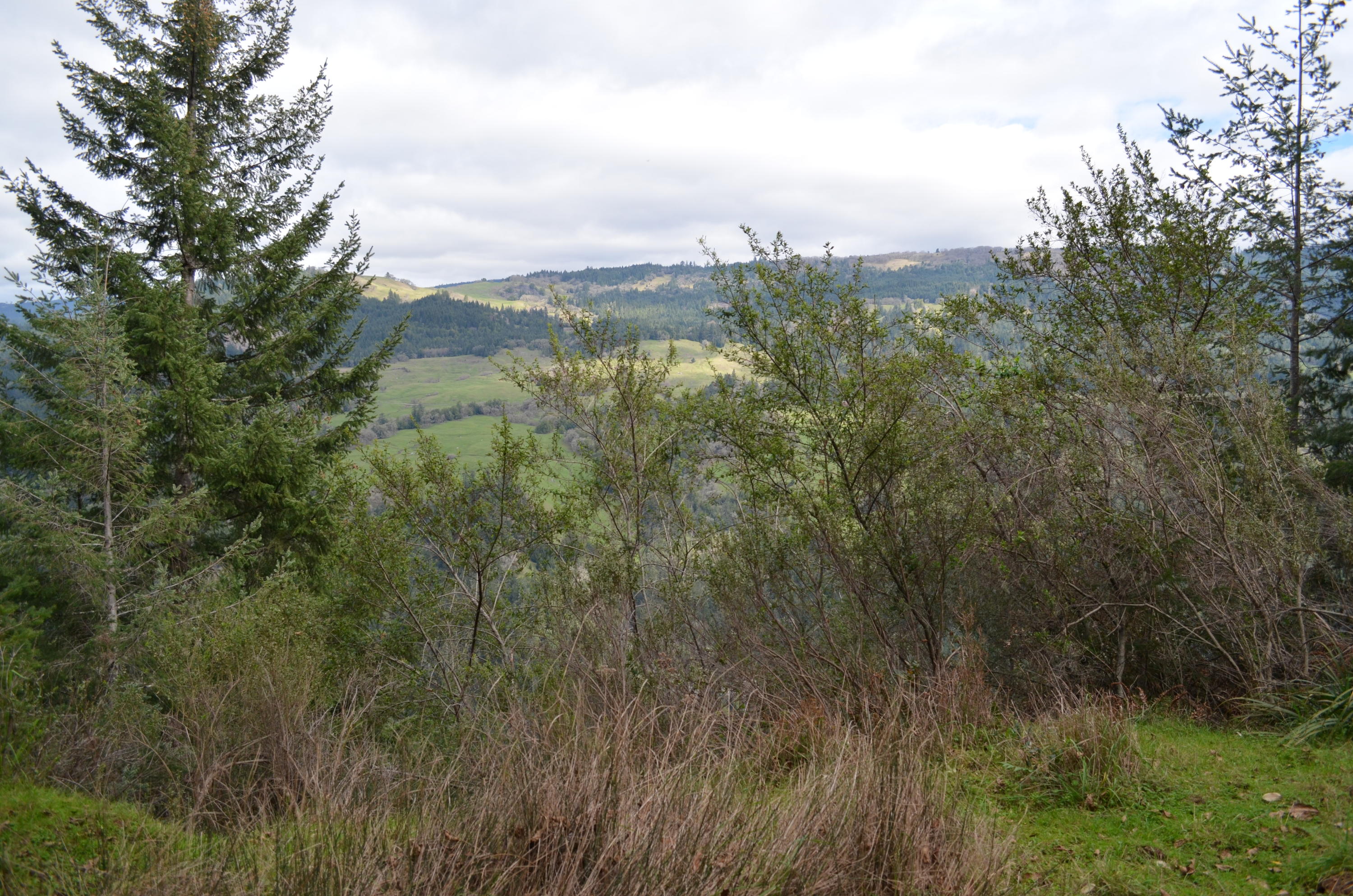 360 Mountain View Road Kneeland, CA 95549 - Photo 19 of 23 Gallery Image 19